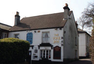 Vine Inn picture