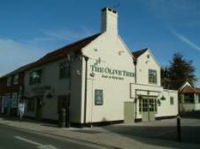 Olive Tree, Romsey