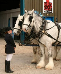 horse drawn dray