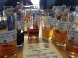 Beer Judging at Southampton Beer Festival - photo credit: Graham Church.