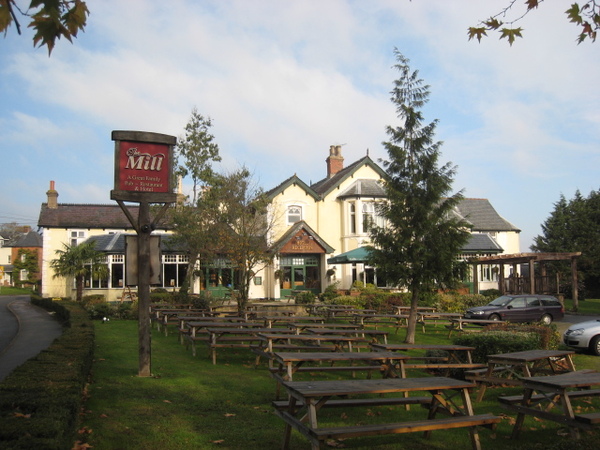 White Rabbit, Lyndhurst